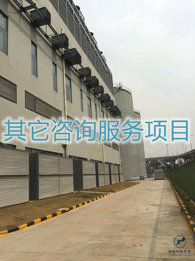 其它咨询服务项目